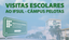 visitas notícia site.png