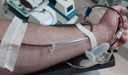 Doação de Sangue HemoPel.png