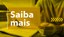 tags-noticias_saibamais.jpg