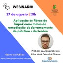 Webinário 11.jpeg