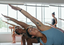 Yoga.png